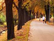 Mirosław Kaczkowski 