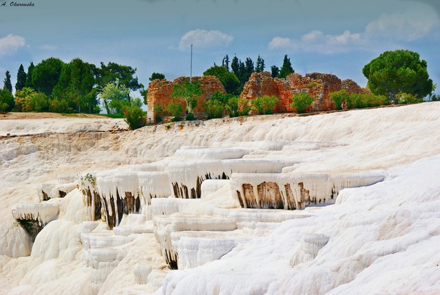 SONY DSC Agnieszka Okurowska #303375