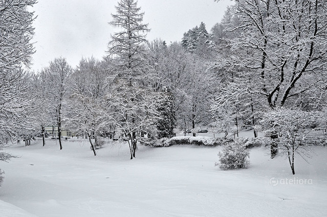 Zbigniew Kapusta #303154