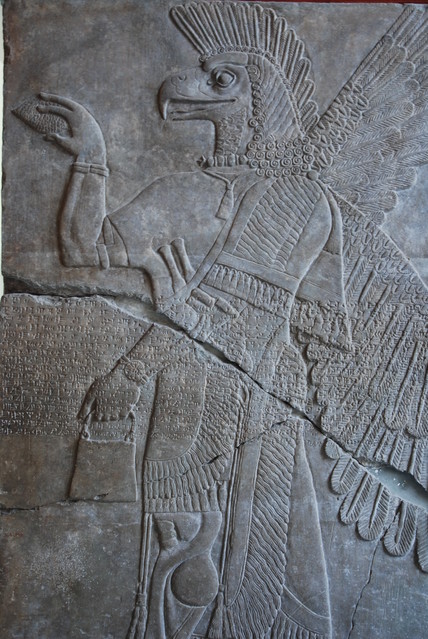 Jacek Pióro #262024