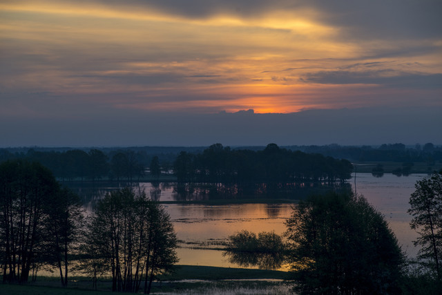 wschód słońca na Narwią - Ruś Dariusz WojtaIa* #316029