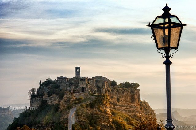 Barbara Prasnowska #266013