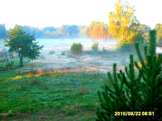 lech 