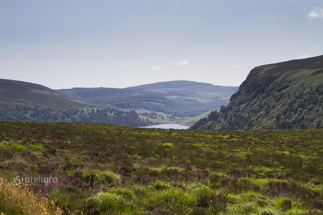 Wicklow Mountains Maciej Frolow #222846