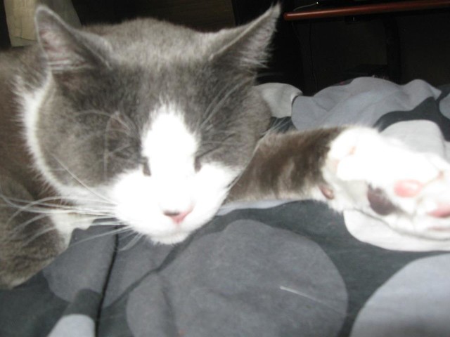 Dagmara Kwiatek #137656