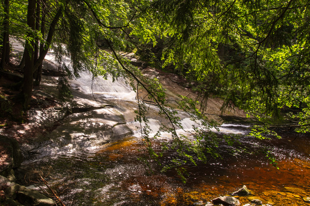 Wielka Mumlawa 2 Jaro M #295480