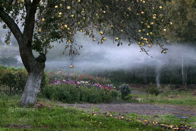 ''ognisko palą na polanie''... ''W żółtych płomieniach liści...'' -