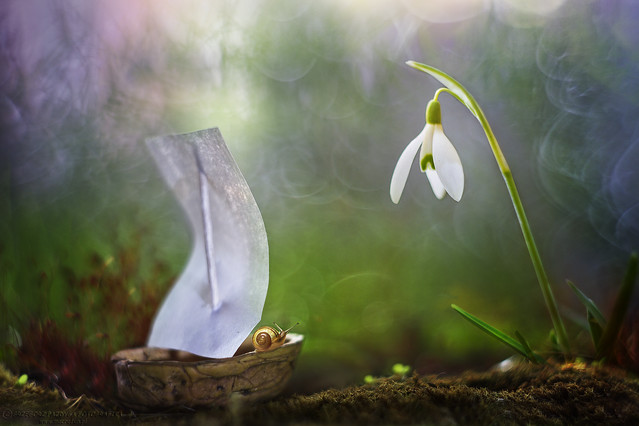 macrofun Latarnia :)