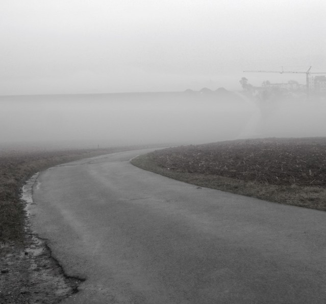 Jarek Jarecki #302776