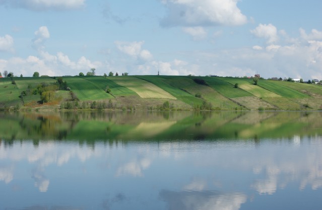 SONY DSC Unknown #306631