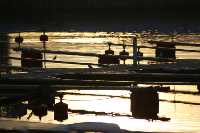 Tomasz Pisulla #236960