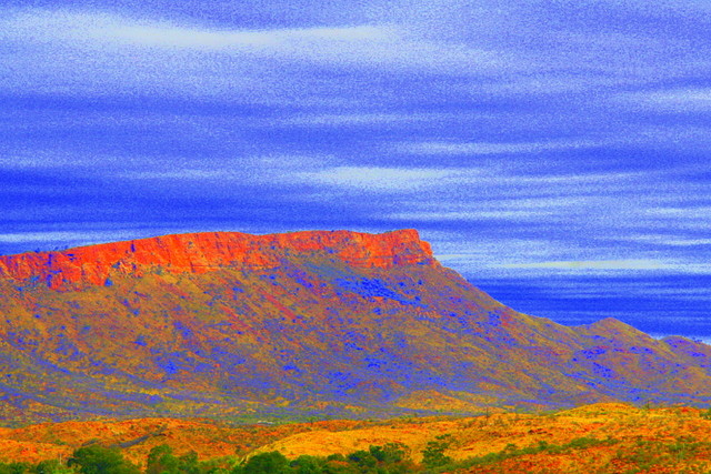 OUTBACK Picasa #206162