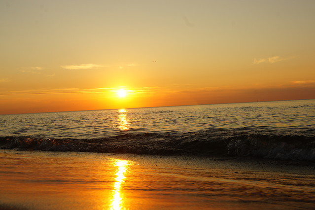 SONY DSC evo93 #110157