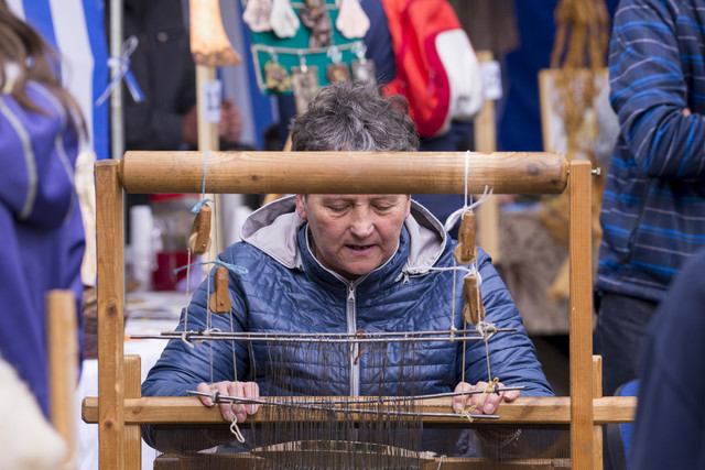 tkaczka - Osowiec Dariusz WojtaIa #324570