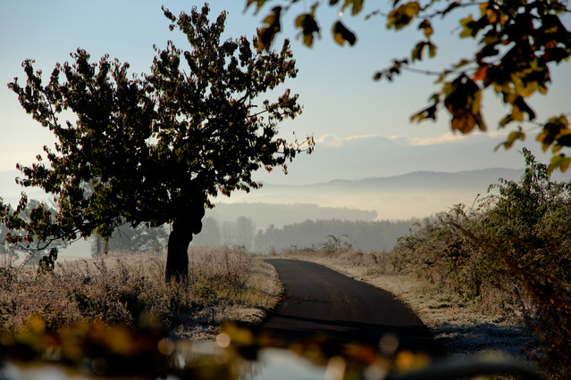 Dokąd prowadzi ta droga? Jesienny Otwarty Plener Fotograficzny