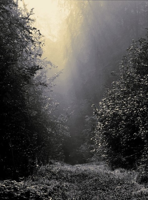 Jarek Jarecki #299207