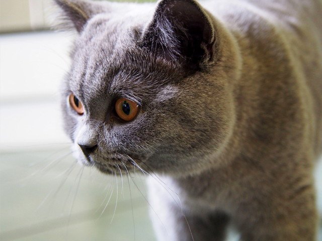 OLYMPUS DIGITAL CAMERA kasiadzie #298697