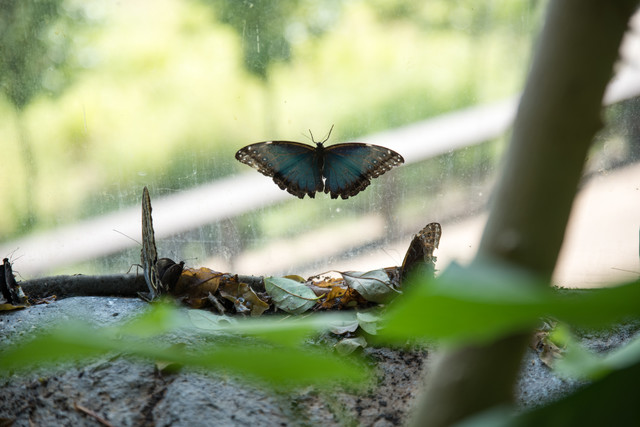 Jacek Pióro #319194