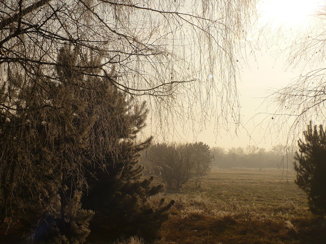 Zbigniew Jończyk jeszcze nie zima