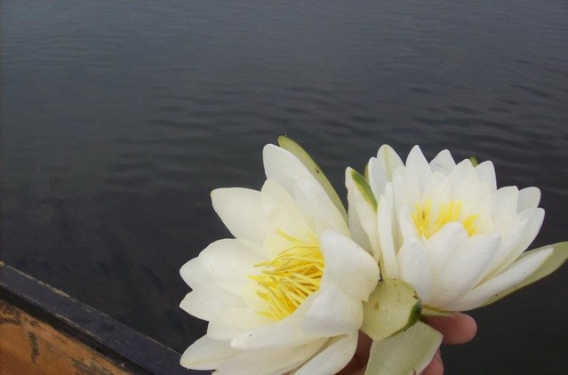 Anna Zalewska #174480