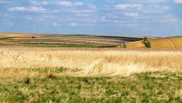 Krajobraz wiejski : Marcin STIEBAL #274522