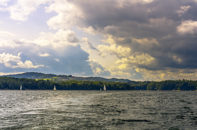 Jaroslaw Maslowski #312571