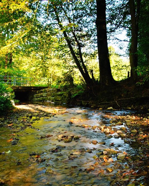 Jarek Jarecki #299346