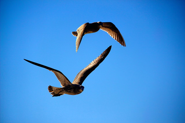 Zbigniw Stanislawski #229321