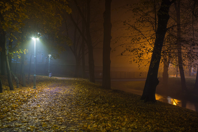 Listopadowy wieczór K.Mierzejewski #327897