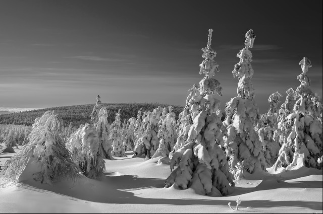 zbynek Góry Izerskie Stóg Izerski - Świeradów Zdrój