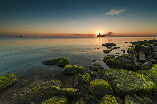 Jacek Plichta #319443