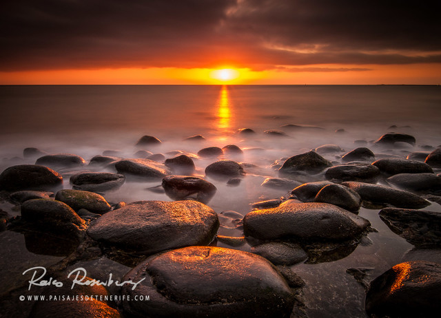 Raico Rosenberg #200843