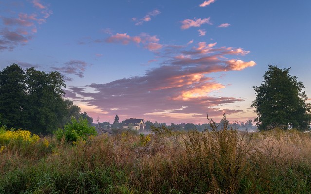 Uzdrawiająca moc natury Krzysztof Tollas #306096