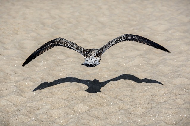 Radoslaw Kwast #279758