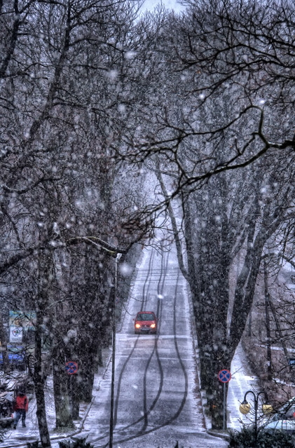 Wróciła zima.... Zbigniew Stanislawski #181039