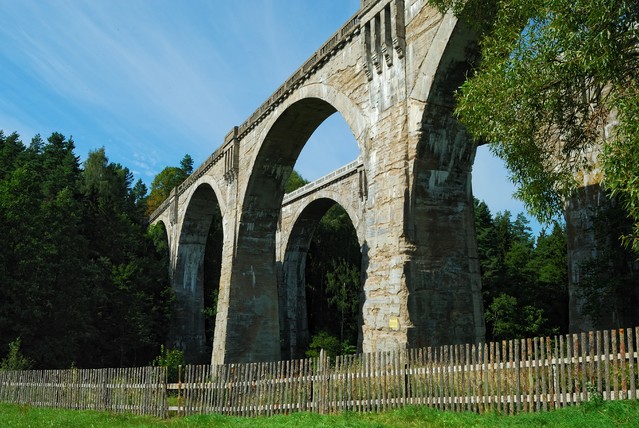 Stańczyki Stami #163042