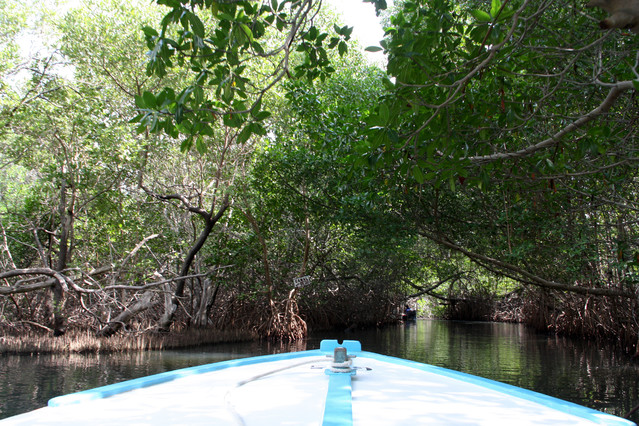 Laguna de la restinga ( Las namorzynowy ). Safari Jeep - Wyspa
