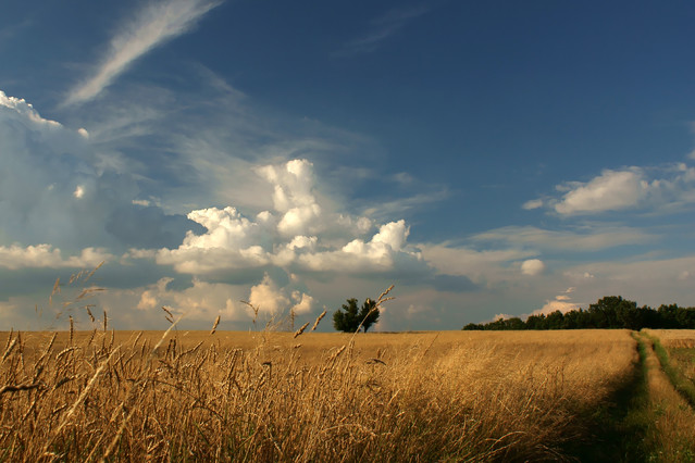 metez Polna droga 2