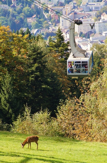 Jarek Jarecki #299218