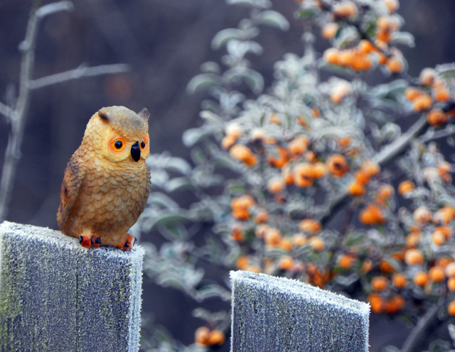 SAMSUNG DIGITAL CAMERA SAMSUNG DIGITAL CAMERA feelomena #284296