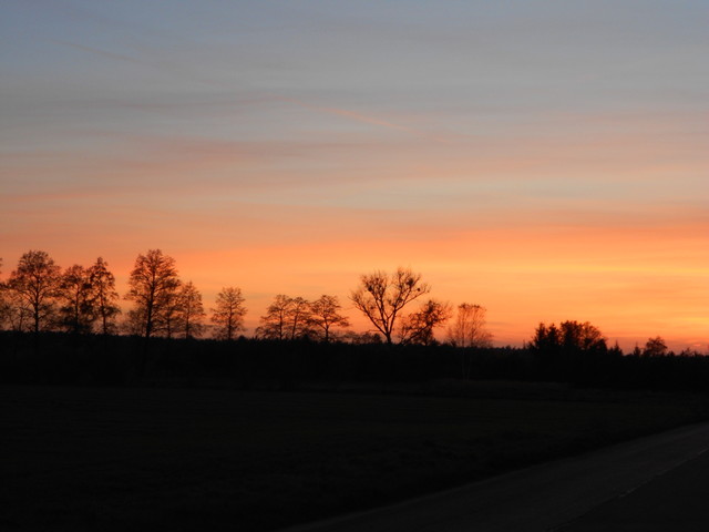 Artur Oziewicz #176496