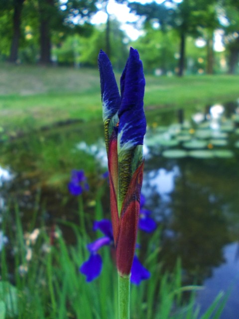 Sylwia Stańczykowska 