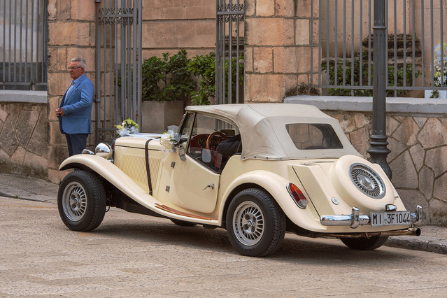 niebieskacytryna #295168