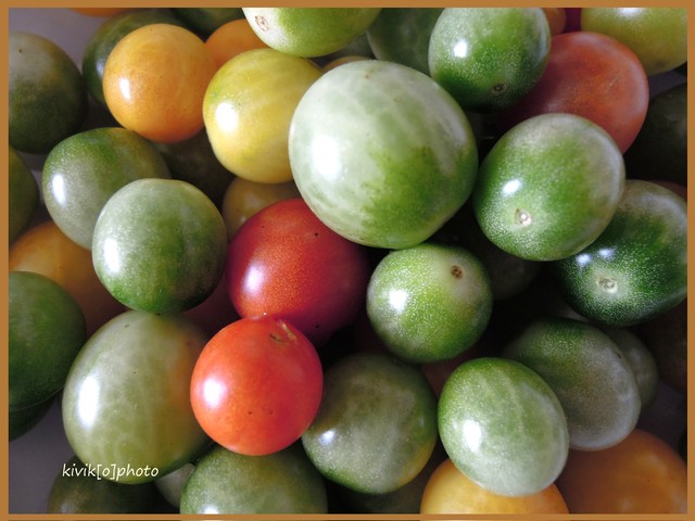 Katarzyna Stankiewicz #179703