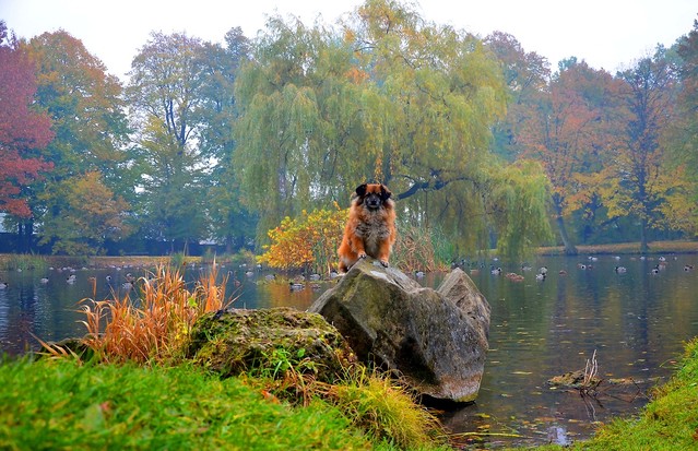 Janusz Mojżesz #269952