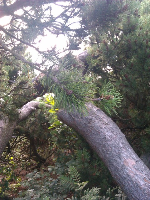 Janusz Hurkała #107296