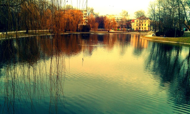 Picasa 