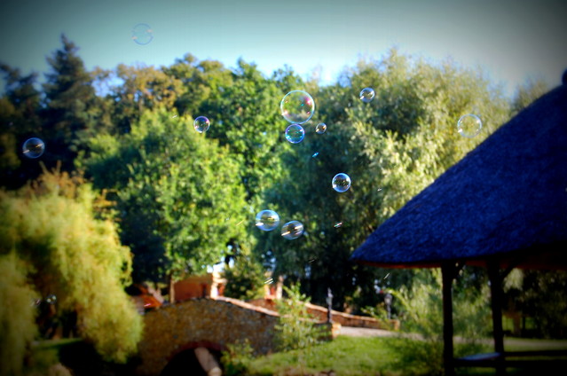 Picasa 