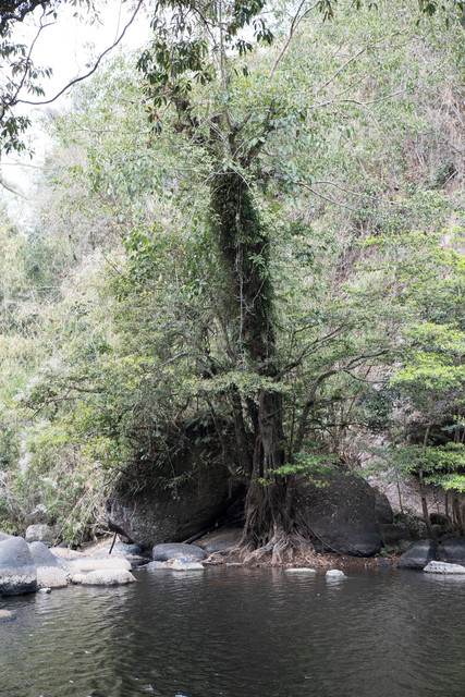 Jacek Pióro #304674