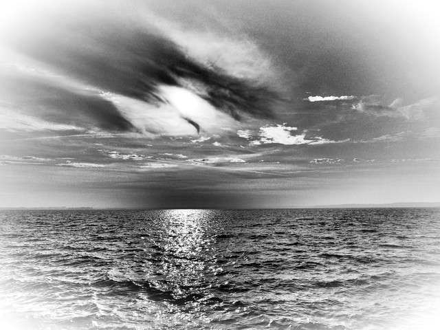 OLYMPUS DIGITAL CAMERA OLYMPUS DIGITAL CAMERA barital #284162